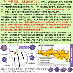 3つ目の返礼品の画像