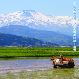 2つ目の返礼品の画像