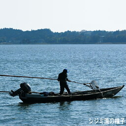 2つ目の返礼品の画像