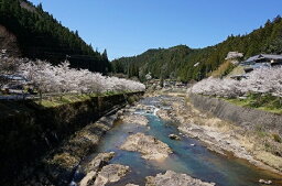 カルーセルの中にある3つ目の返礼品の画像