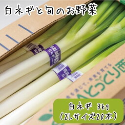 カルーセルの中にある6つ目の返礼品の画像