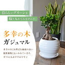 コンシェルジュのおすすめ返礼品2