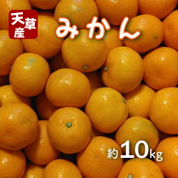 カルーセルの中にある9つ目の返礼品の画像