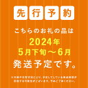 コンシェルジュのおすすめ返礼品2